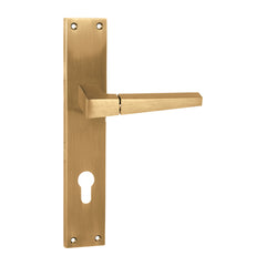 Indian Mortise Door Handle & Lock On Plate For Hotels