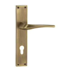 Indian Mortise Door Handle & Lock On Plate For Homes
