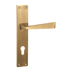 Hand Made Mortise Door Handle & Lock On Plate For Restaurants