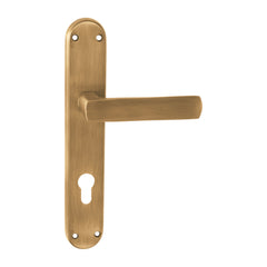 Hand Made Mortise Door Handle & Lock On Plate For Bungalows