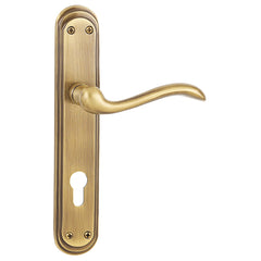 Designer Door Handles And Lock