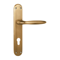 German Mortise Door Handle & Lock On Plate For Hotels