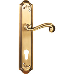 Fusion Mortise Door Handle & Lock On Plate For Apartments