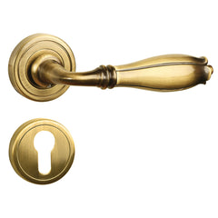Fusion Mortise Door Handle & Lock On Rosette For Chateaus