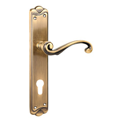 Fusion Mortise Door Handle & Lock On Plate For Chateaus