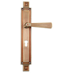 Fusion Mortise Door Handle On Plate