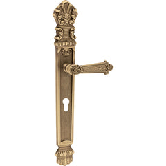 Fusion Mortise Door Handle On Plate For Houses