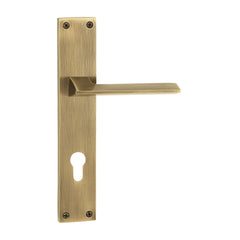 Brass Mortise Door Handle & Lock On Plate For Restaurants