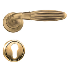 Hand Made Mortise Door Handle & Lock On Rosette For Villa