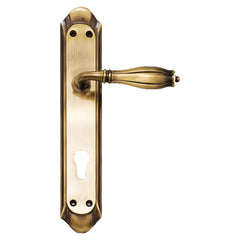 Indian Mortise Door Handle & Lock On Plate For Resorts