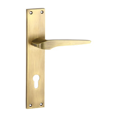 Stylish Mortise Door Handle & Lock On Plate For Apartments