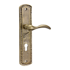 Indian Mortise Door Handle & Lock On Plate For Villa