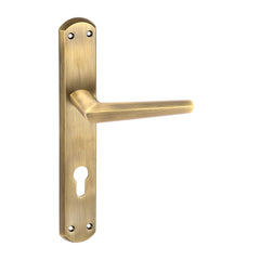 Rose Golden Door Handles