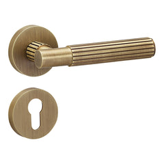Brass Door Handle