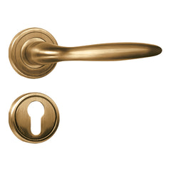 Small Mortise Door Handle & Lock On Rosette