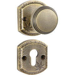 Brass Door Knobs