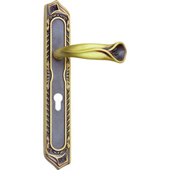 Unique Mortise Door Handle and Lock On Plate For Resorts