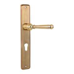 Classical Design Door Handle & Lock On Plate For Bungalows