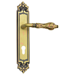 Vintage Design Door Handle & Lock On Plate for Villas
