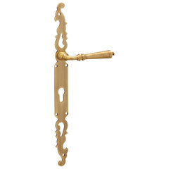 Brass Door Handle