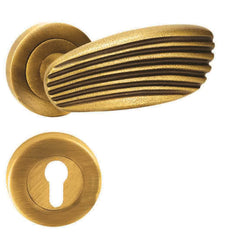 Customised Mortise Door Handle & Lock On Rosette For Apartments