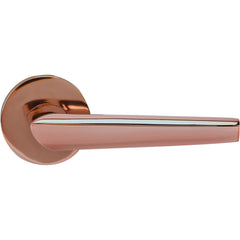 Customised Mortise Door Handle & Lock On Rosette For Apartments