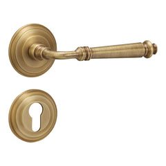 Brass Door Handle