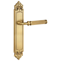 Brass Door Handle