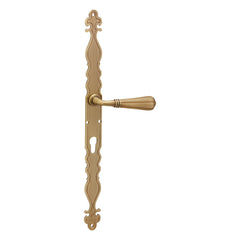 Brass Door Handle