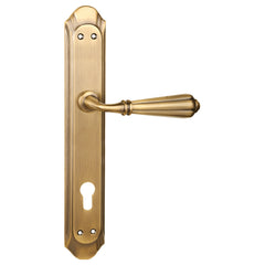Beautiful Mortise Door Handle & Lock On Plate For Bungalows
