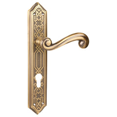 Beautiful Mortise Door Handle & Lock On Plate For Restaurants