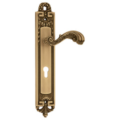Beautiful Mortise Door Handle & Lock On Plate For Villa