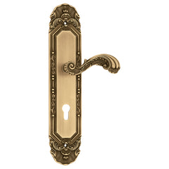Beautiful Mortise Door Handle On Plate For Resorts