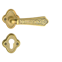 Big Mortise Door Handle & Lock On Rosette For Villa
