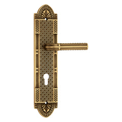 Antique Door Handles Design