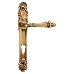 Beautiful Mortise Door Handle