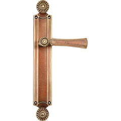 Black, Gold, Silver & Rose Gold Mortise Door Handle On Plate