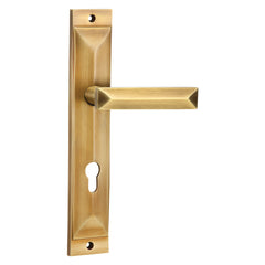 Brass Mortise Door Handle & Lock On Plate For Bungalows