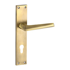 Customised Mortise Door Handle & Lock On Plate For Chateaus