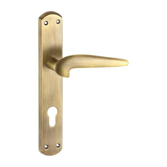 Brass Mortise Door Handle & Lock On Plate For Villa
