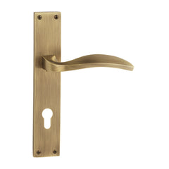 Indian Mortise Door Handle & Lock On Rosette For Apartments