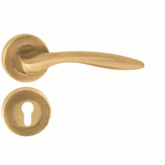 Black, Gold, Silver & Rose Gold Mortise Door Handle & Lock On Rosette For Bungalows