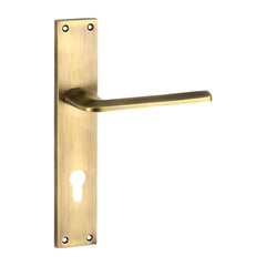 Small Mortise Door Handle & Lock On Plate