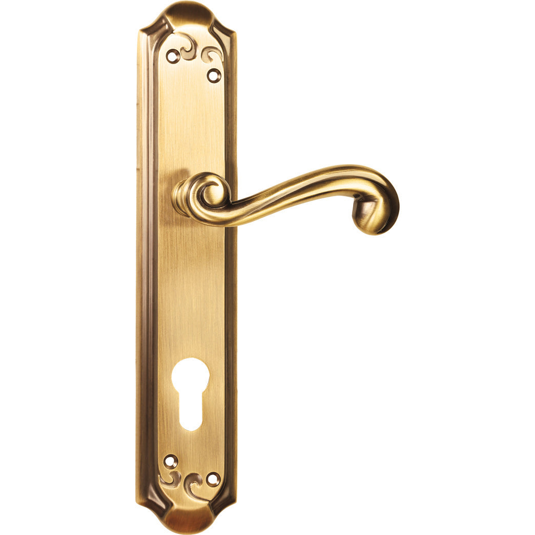 Fusion Mortise Door Handle & Lock On Plate For Apartments