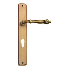 Sleek Simple Design Door Handle On Plate For Home
