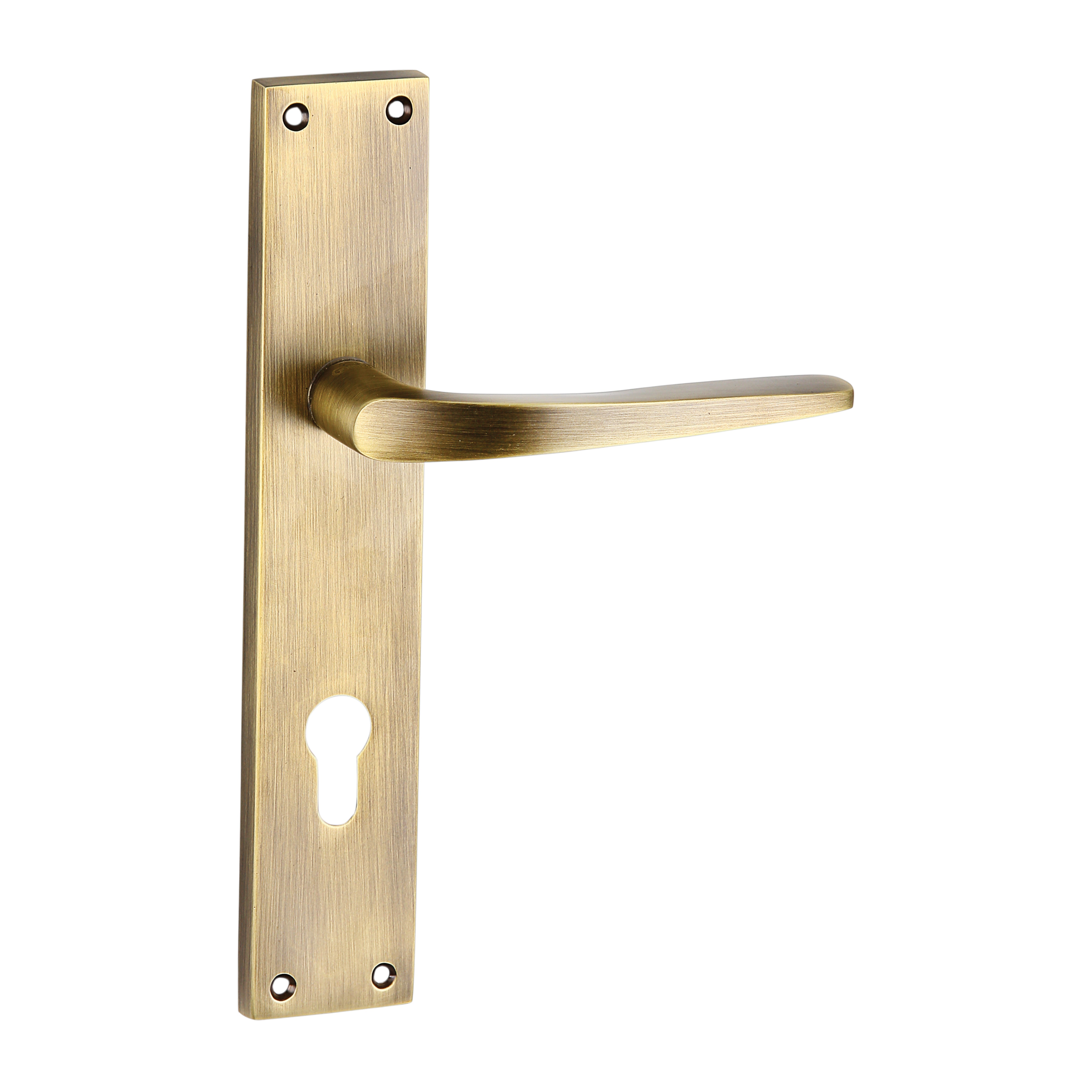 Fusion Mortise Door Handle & Lock On Plate For Resorts
