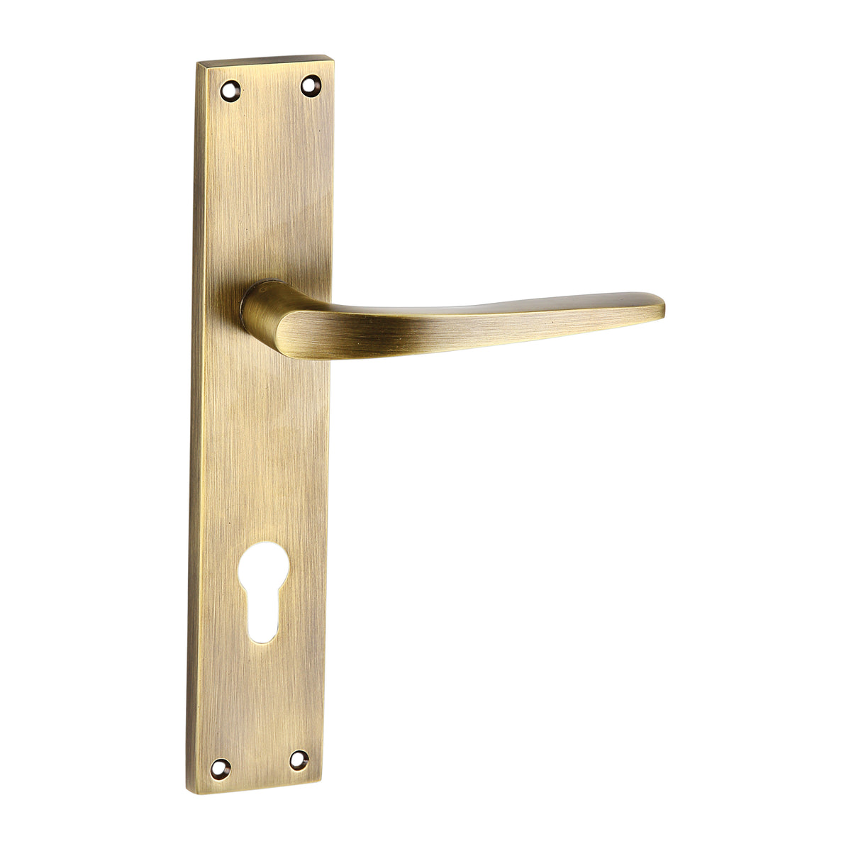 Fusion Mortise Door Handle & Lock On Plate For Resorts