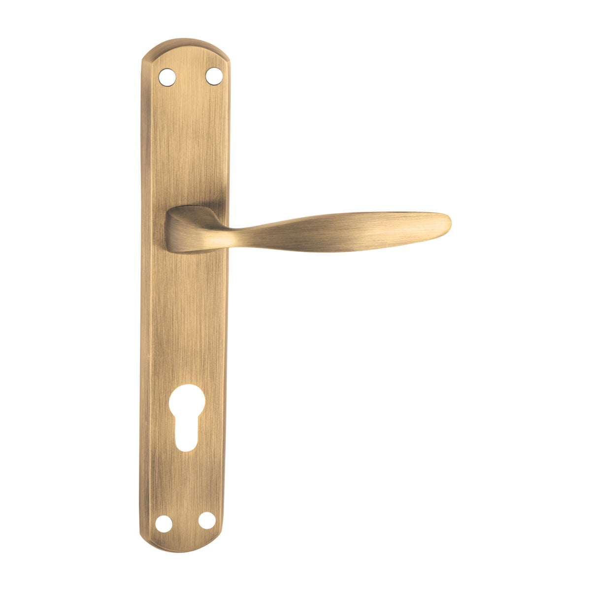 Fusion Mortise Door Handle & Lock On Plate For Bungalows